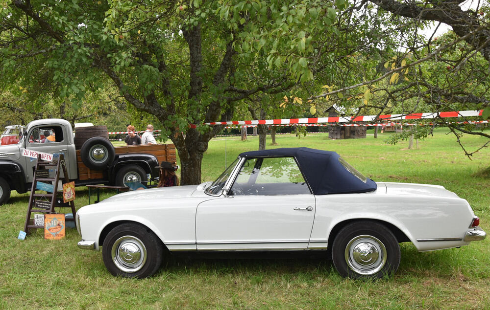 Oldtimertreffen im Freilichtmuseum 2016