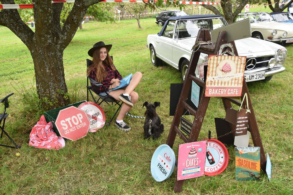 Oldtimertreffen im Freilichtmuseum 2016