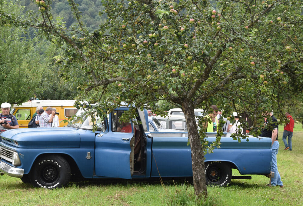 Oldtimertreffen im Freilichtmuseum 2016