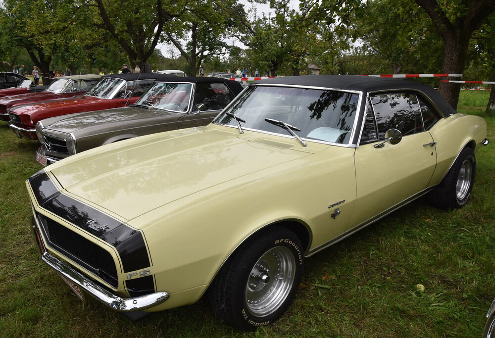 Oldtimertreffen im Freilichtmuseum 2016