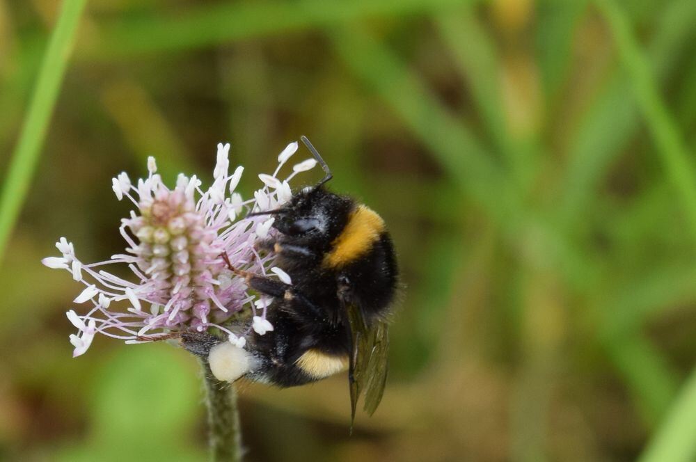 Naturfotos unserer Leser 2016