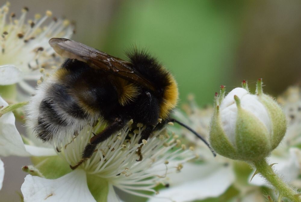 Naturfotos unserer Leser 2016