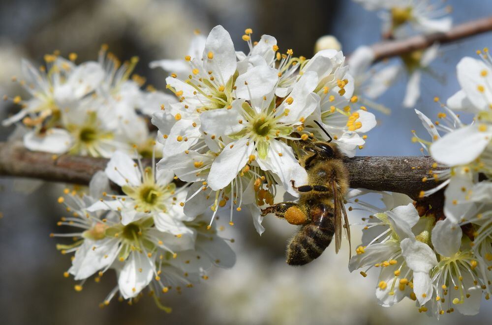 Naturfotos unserer Leser 2016