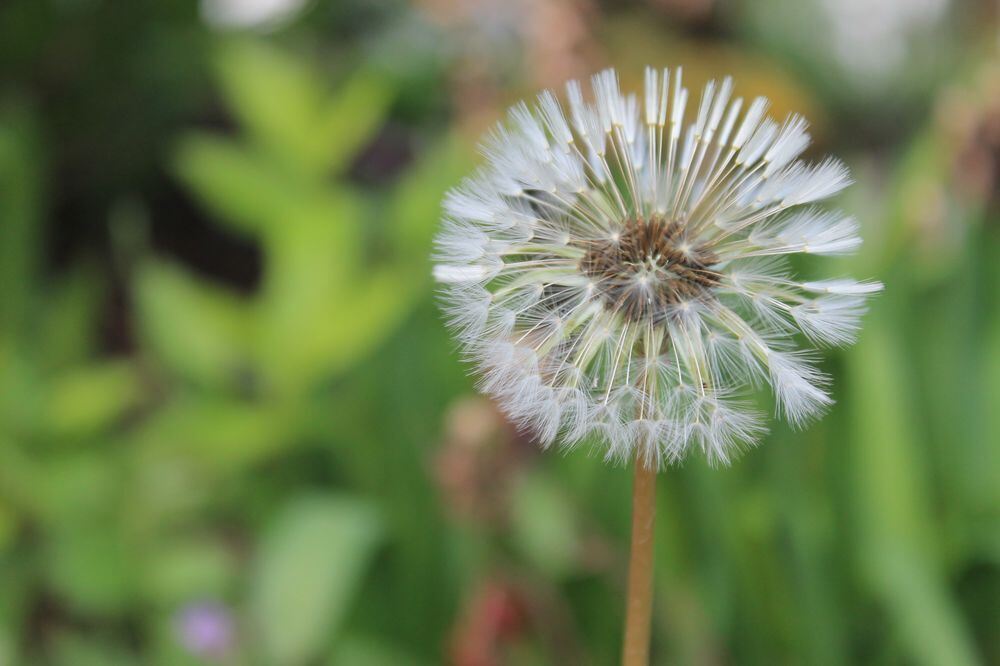 Naturfotos unserer Leser 2016