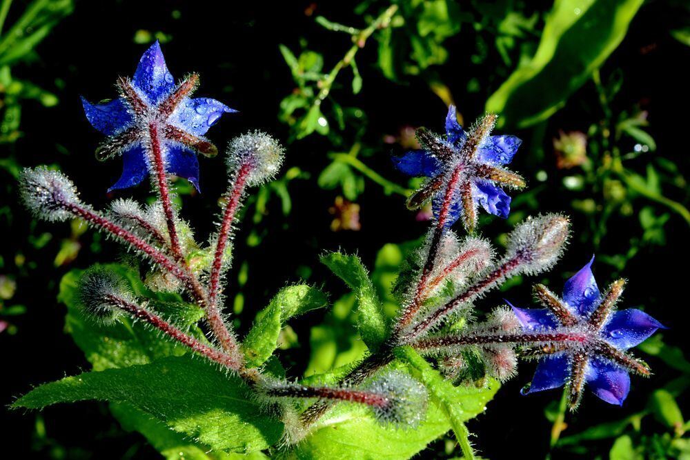 Naturfotos unserer Leser 2016