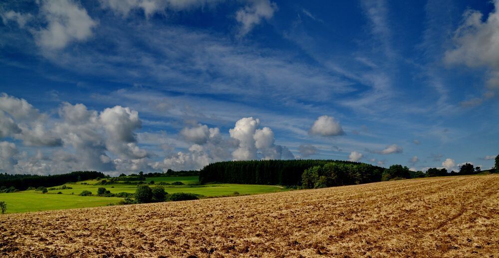 Naturfotos unserer Leser 2016