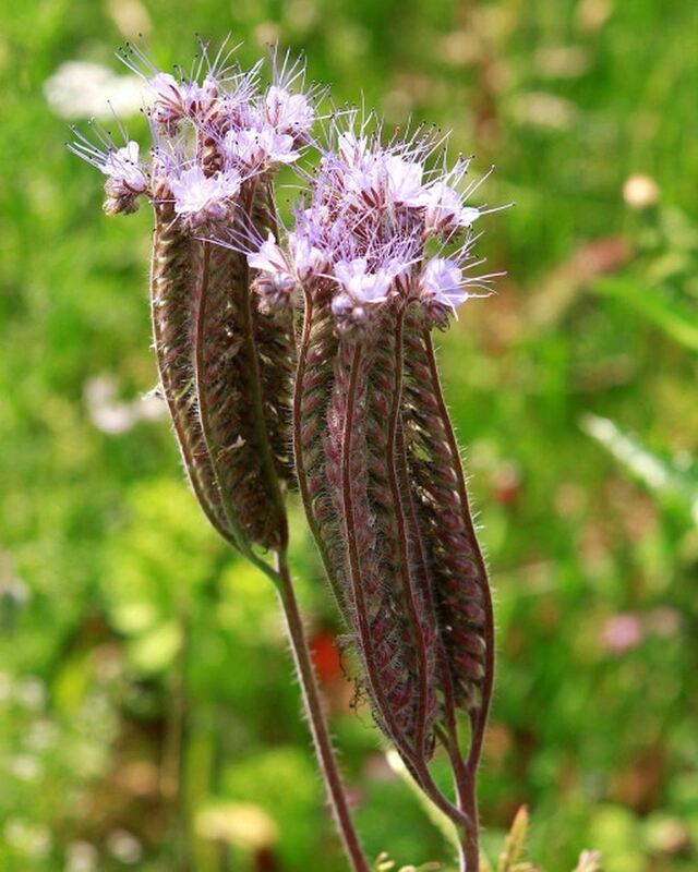 Naturfotos unserer Leser 2016