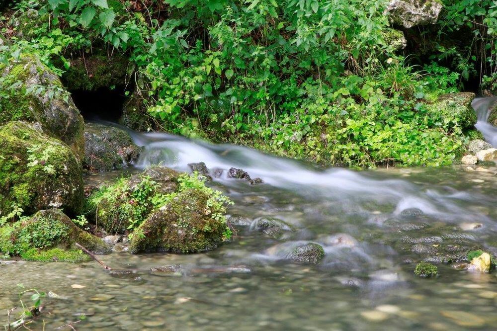 Naturfotos unserer Leser 2016