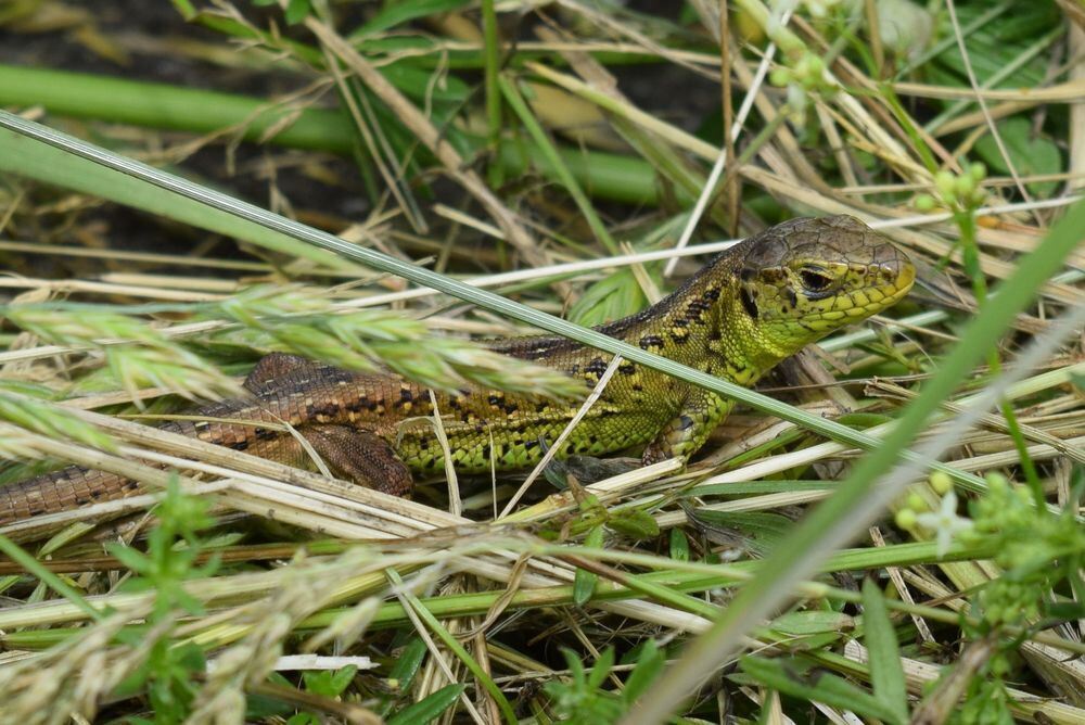 Naturfotos unserer Leser 2016