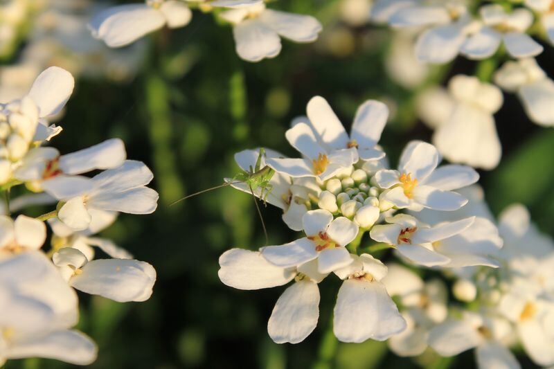 Naturfotos unserer Leser 2016