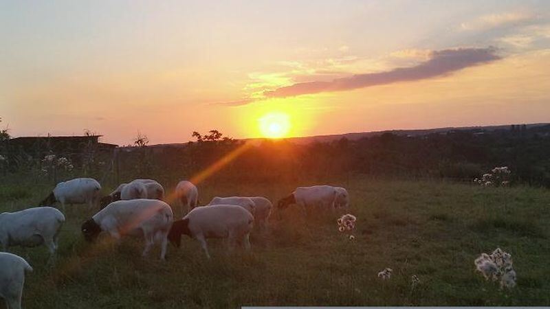 Naturfotos unserer Leser 2016