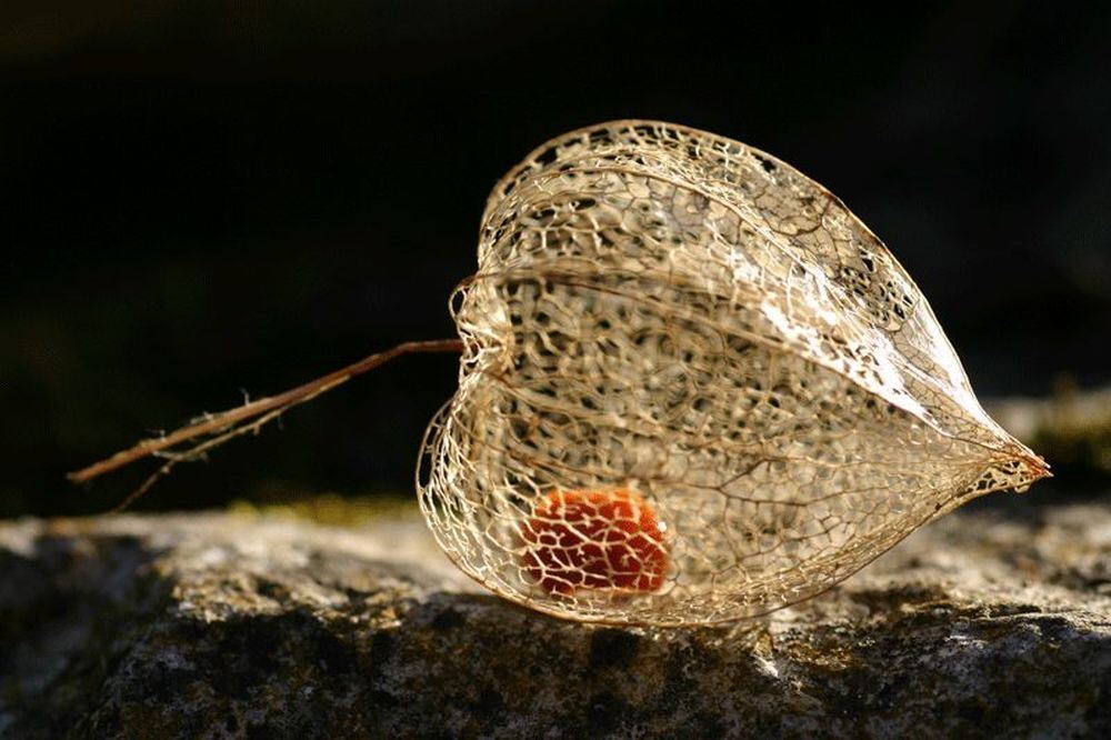 Naturfotos unserer Leser 2016