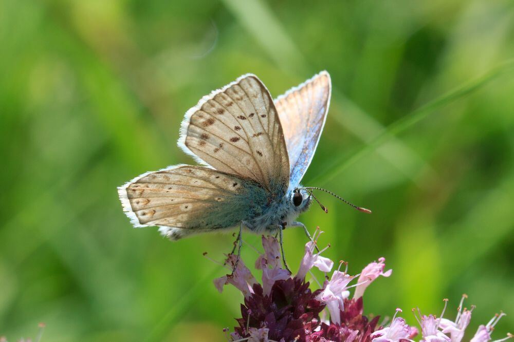 Naturfotos unserer Leser 2016