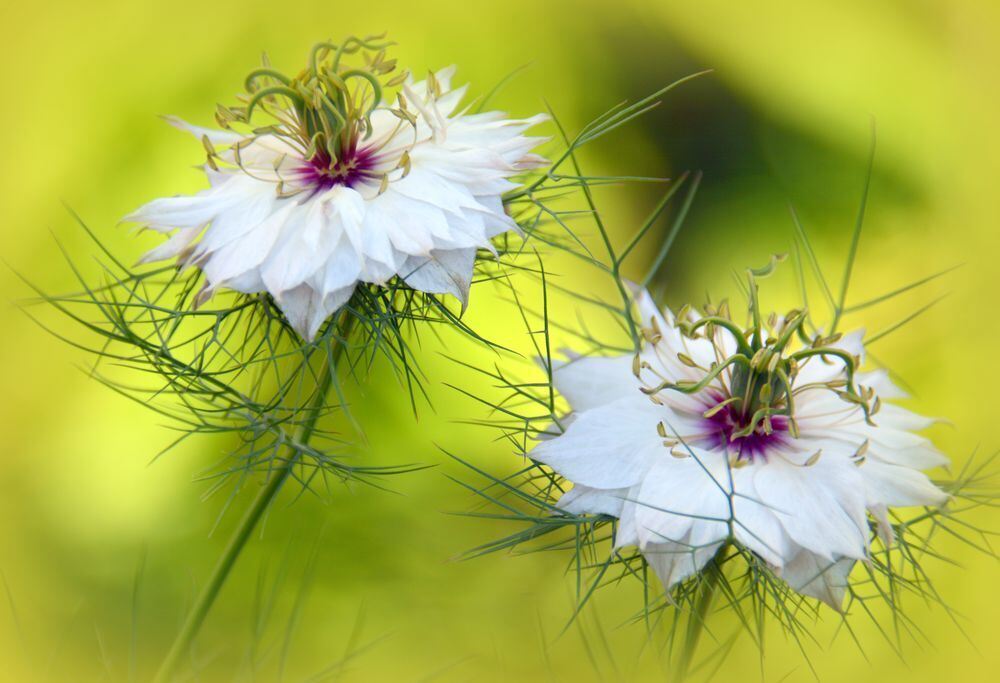 Naturfotos unserer Leser 2016