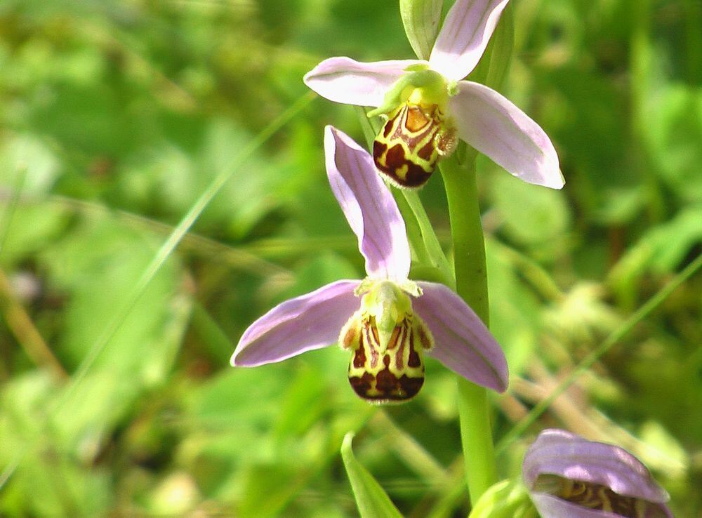 Naturfotos unserer Leser 2016