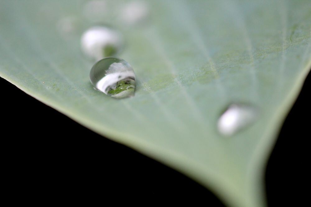 Naturfotos unserer Leser 2016