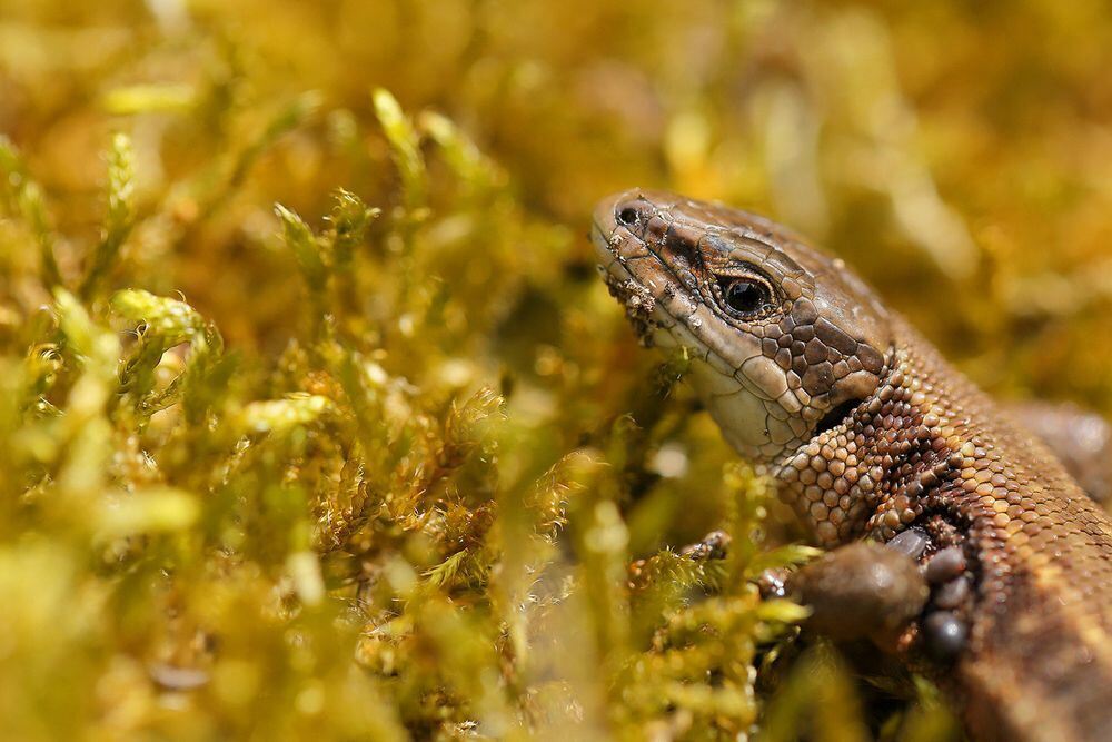 Naturfotos unserer Leser 2016