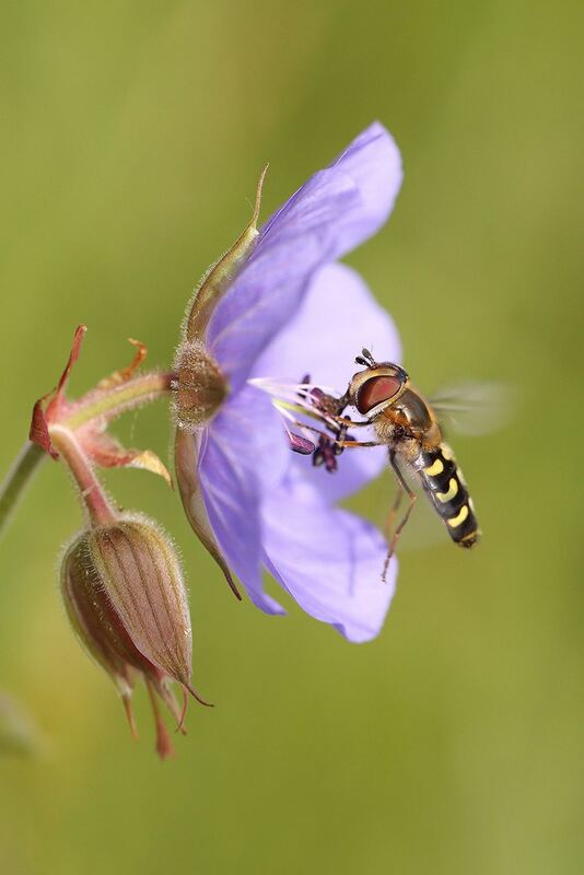 Naturfotos unserer Leser 2016