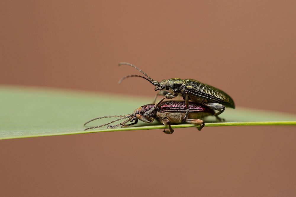 Naturfotos unserer Leser 2016