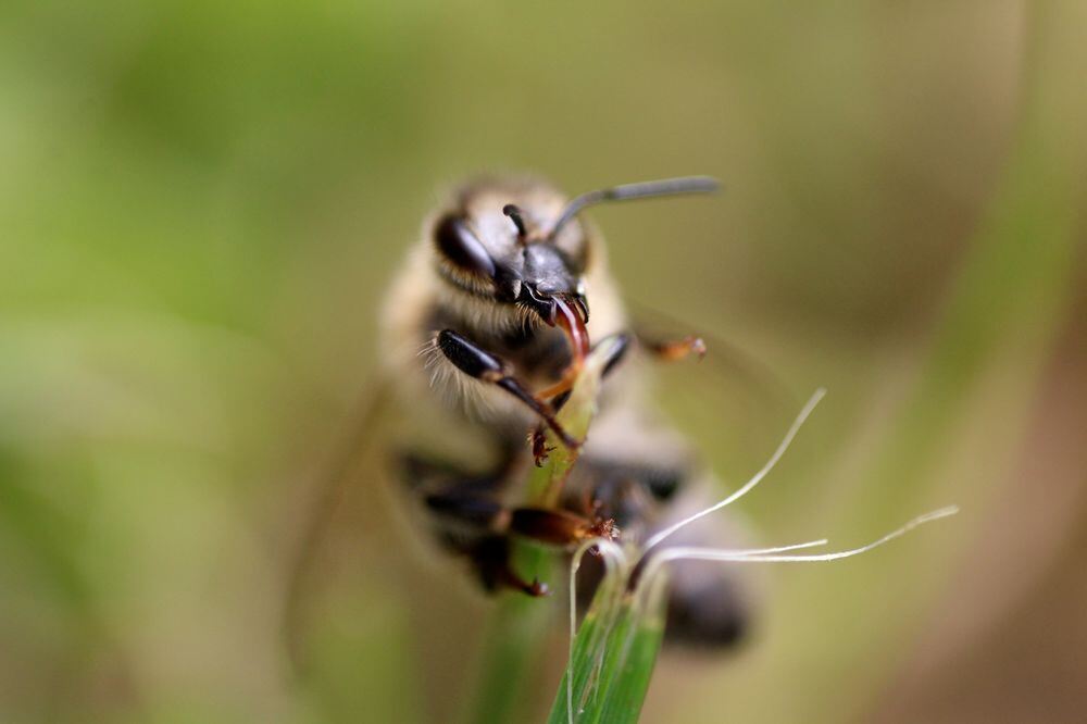 Naturfotos unserer Leser 2016