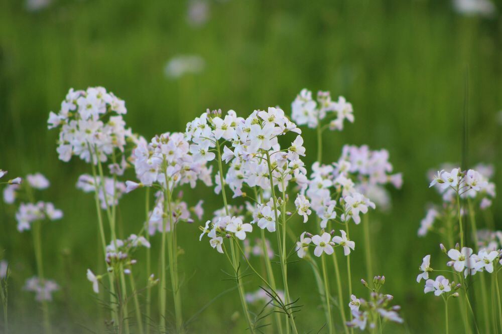 Naturfotos unserer Leser 2016