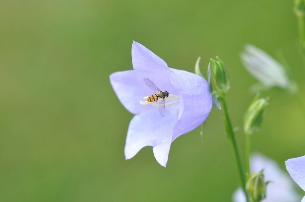 Naturfotos unserer Leser 2016