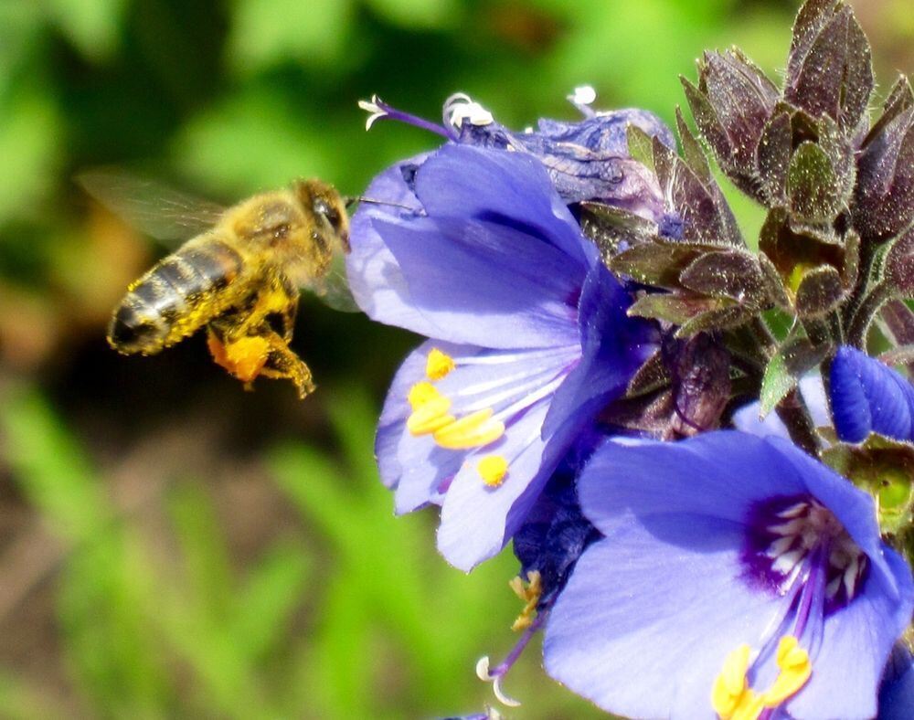 Naturfotos unserer Leser 2016