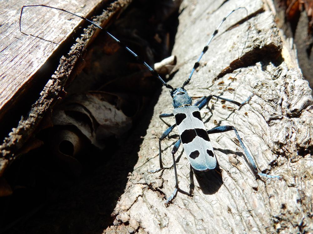 Naturfotos unserer Leser 2016