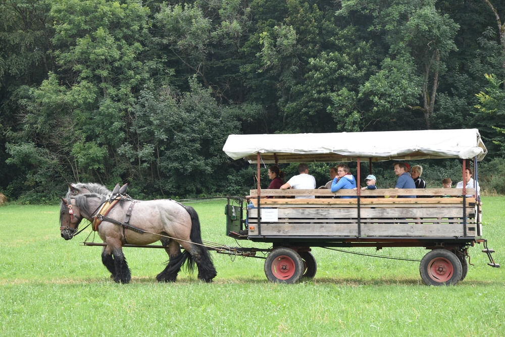 Familientag auf dem Rossfeld 2016