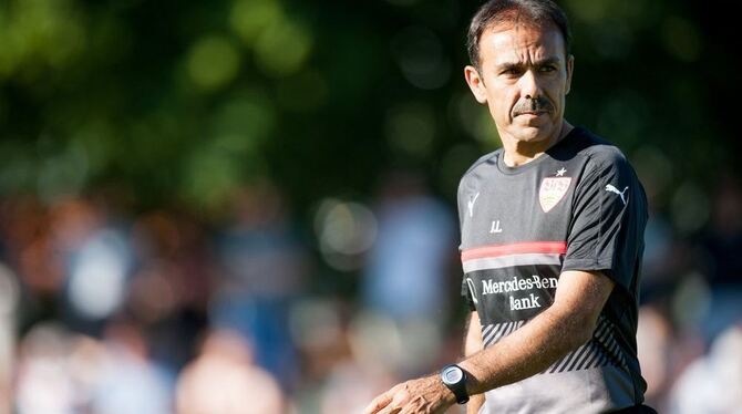 Engagierter Realist im Trainergeschäft und genau der richtige Mann für den Zweitligisten VfB Stuttgart: Jos Luhukay. FOTO: DPA