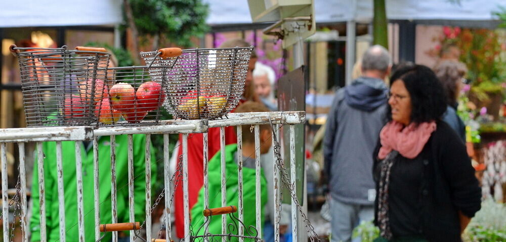 Stadtlauf Tübingen 2016