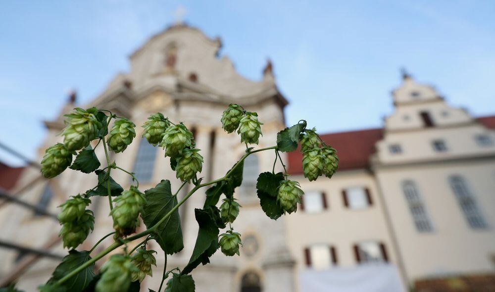 zwiefalter_klosterbrau_festspiele_2016_2 (jpg)